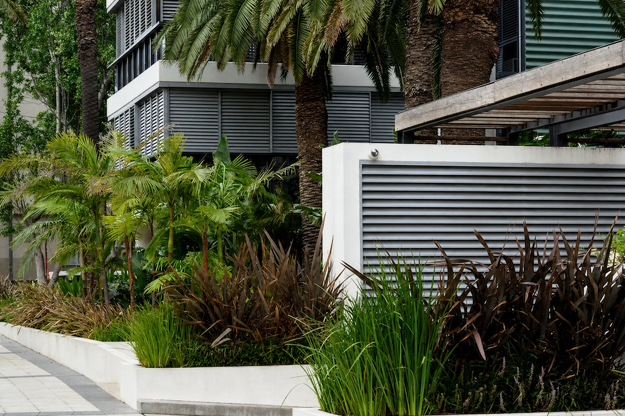 Layered subtropical planting at Trio Apartments, Camperdown